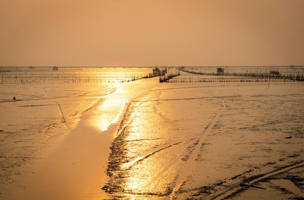 Comment les festivals locaux influencent-ils l'attrait touristique d'une région ?